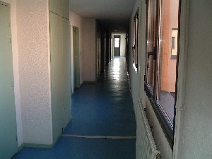 Cliquez sur l'image pour l'agrandir.